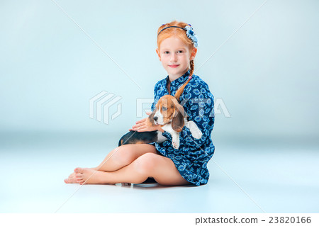 The happy girl and a beagle puppie on gray The happy girl and a beagle puppie on gray 23820166