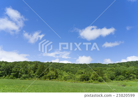 Fresh green of Tamara plateau 23820599