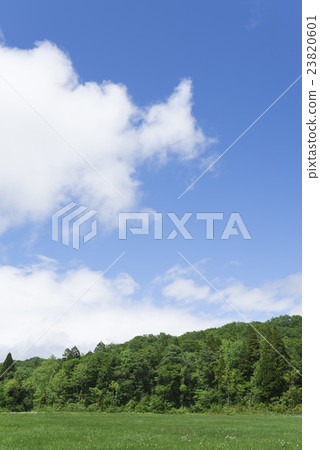 Fresh green of Tamara plateau Fresh green of Tamara plateau 23820601