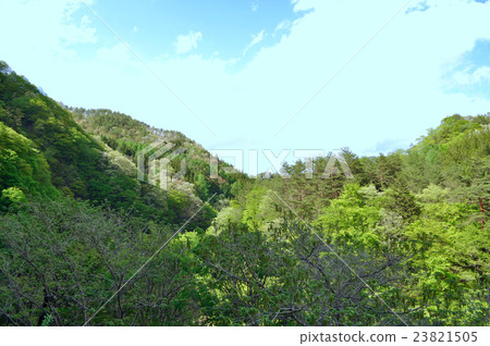 Picture of Nakanojo-cho, Agatsuma-gun, Gunma ken Picture of Nakanojo-cho, Agatsuma-gun, Gunma ken 23821505