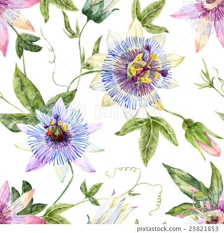 Watercolor floral pattern 23821853