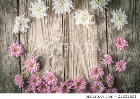 Frame of white and pink flowers on the background  23822621