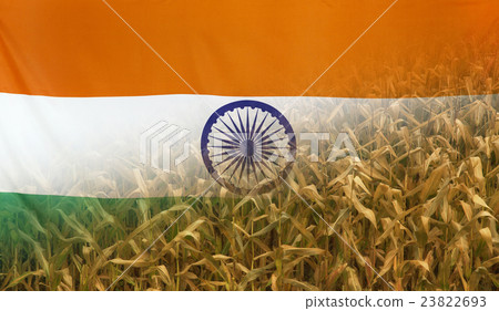 India Nutrition Concept Corn field fabric Flag India Nutrition Concept Corn field fabric Flag 23822693