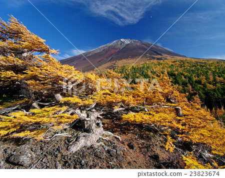 Autumn of Fukui Fuji Autumn of Fukui Fuji 23823674
