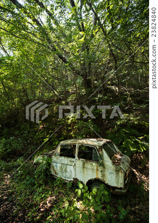 Scrapped car (discarded car buried in grass) 23824840