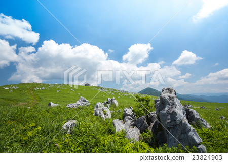 Grassland and blue sky of the plateau (Shikoku Karst) 23824903