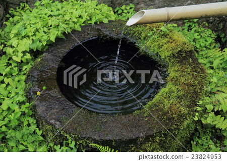 Tsukasa covered with moss and green Tsukasa covered with moss and green 23824953