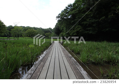Izumiya Park Chiba Kotori Izumiya Park Chiba Kotori 23826954