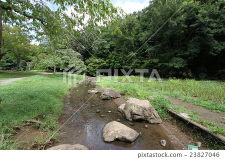 小川泉屋公園 小川泉屋公園 23827046