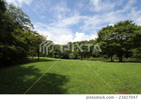 綠色泉屋公園附近的公園 綠色泉屋公園附近的公園 23827047