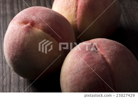 桃子 桃子 23827429