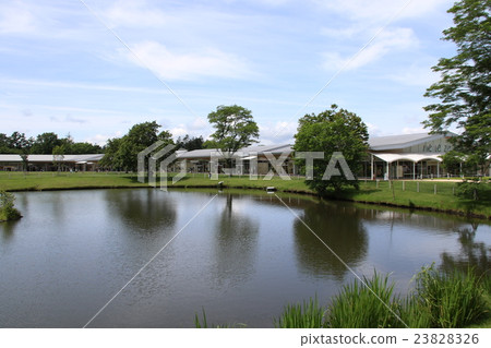 Summer scenery of Karuizawa Summer scenery of Karuizawa 23828326