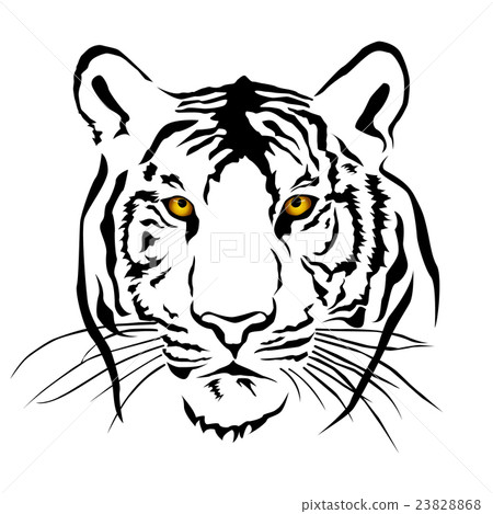 Tiger head black and whit, Vector 23828868