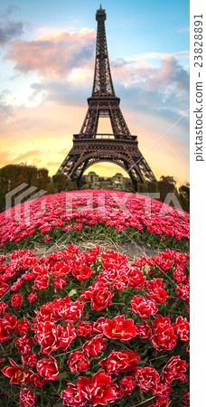 Paris, flowers and Eiffel tower Paris, flowers and Eiffel tower 23828891