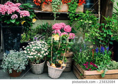 flower shop flower shop 23832084