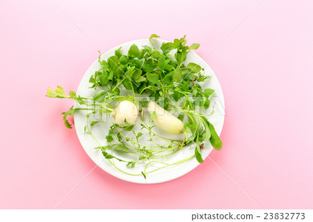 Seven herbs of spring 23832773