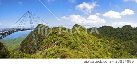 The bridge is a viewing platform The bridge is a viewing platform 23834099