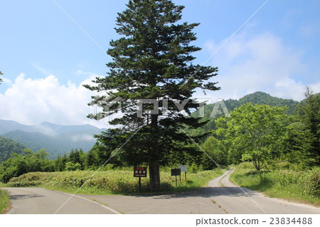 The way to Lake Toyosho (heart-shaped lake) 23834488
