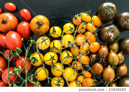 colorful tomatoes 23836089