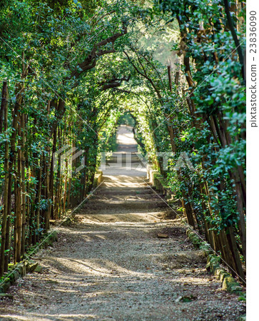 Boboli Gardens. Florence Italy 23836090