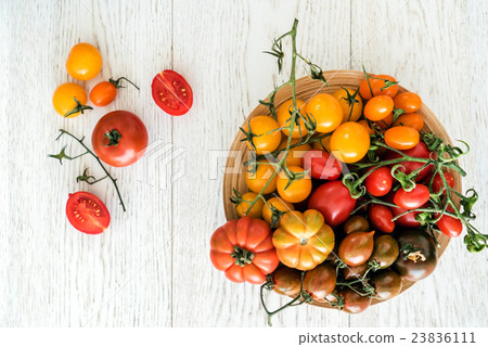 colorful tomatoes 23836111