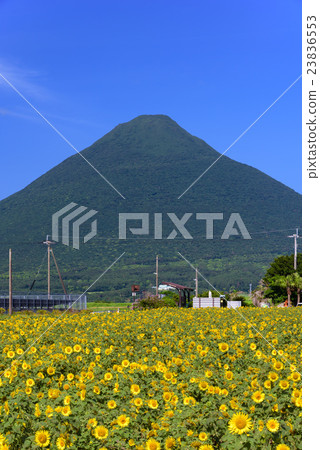 向日葵領域和Mt. Kamen 向日葵領域和Mt. Kamen 23836553