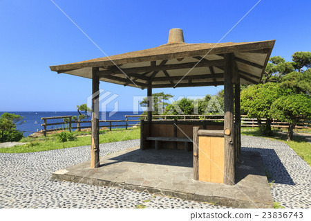 Summer in Tateishi Park Summer in Tateishi Park 23836743