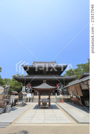 四國大佛第75佛教寺院“Zentsuji”寺廟的主殿（東面）（Kinto） 23837046