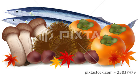 Sanma Chestnut Mushrooms Persimmon leaves Sanma Chestnut Mushrooms Persimmon leaves 23837479
