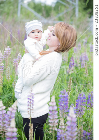 Young mother with baby at meadow lupins flowers Young mother with baby at meadow lupins flowers 23838251