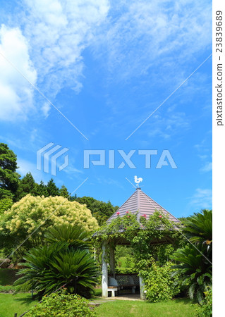 Yamaguchi Flower Land 23839689