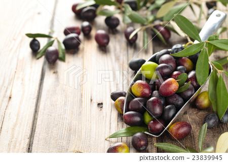 Fresh olives in scoop. Fresh olives in scoop. 23839945