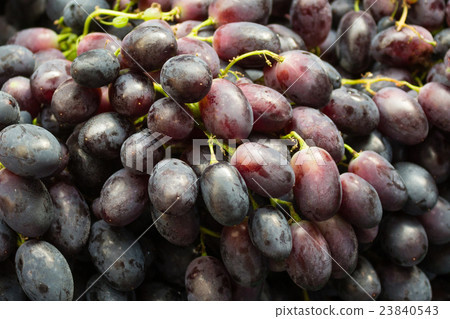 blue grapes closeup 23840543