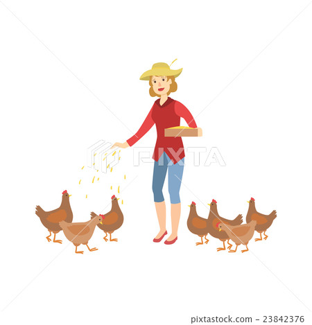 Woman Feeding The Chickens 23842376