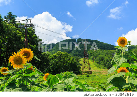 Iwayake Yurien 23842619