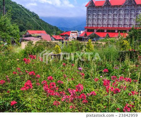 Hakuba Cortina English Garden 23842959