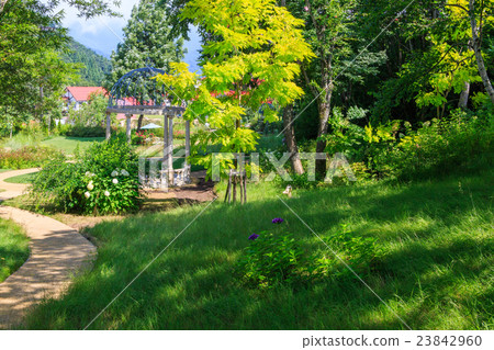 Hakuba Cortina English Garden Hakuba Cortina English Garden 23842960