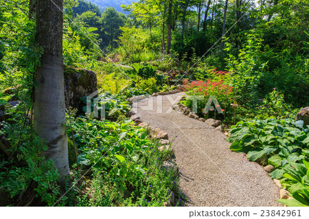 白馬科爾蒂納英國花園 白馬科爾蒂納英國花園 23842961