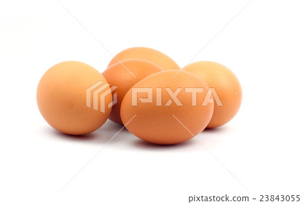 brown egg on white background brown egg on white background 23843055
