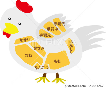 雞肉的名稱 雞肉的名稱 23843267