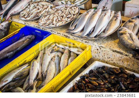 fresh fish in different sizes laying on a table fresh fish in different sizes laying on a table 23843681