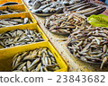 fresh fish in different sizes laying on a table 23843682