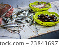 woman cleans a small fish 23843697