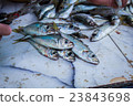 woman cleans a small fish 23843698