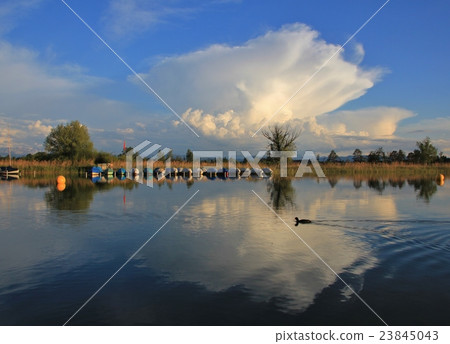 Summer cloud and shore of Lake Pfaeffikersee 23845043