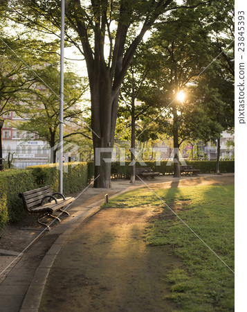 Morning park bench (Kawaguchi Nishikoen) Vertical Morning park bench (Kawaguchi Nishikoen) Vertical 23845393