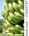 Banana fruit 23845597