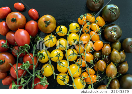 colorful tomatoes 23845879