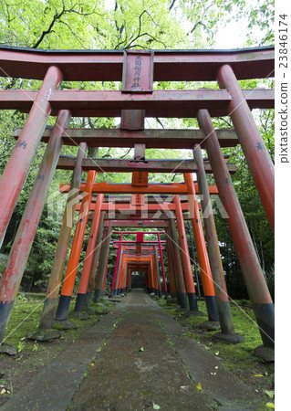 图库照片: 鸟居稻荷神社鸟居