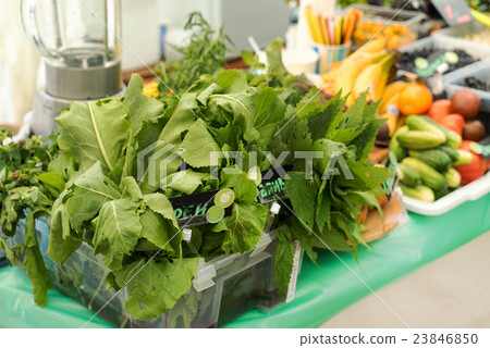 green food green food 23846850